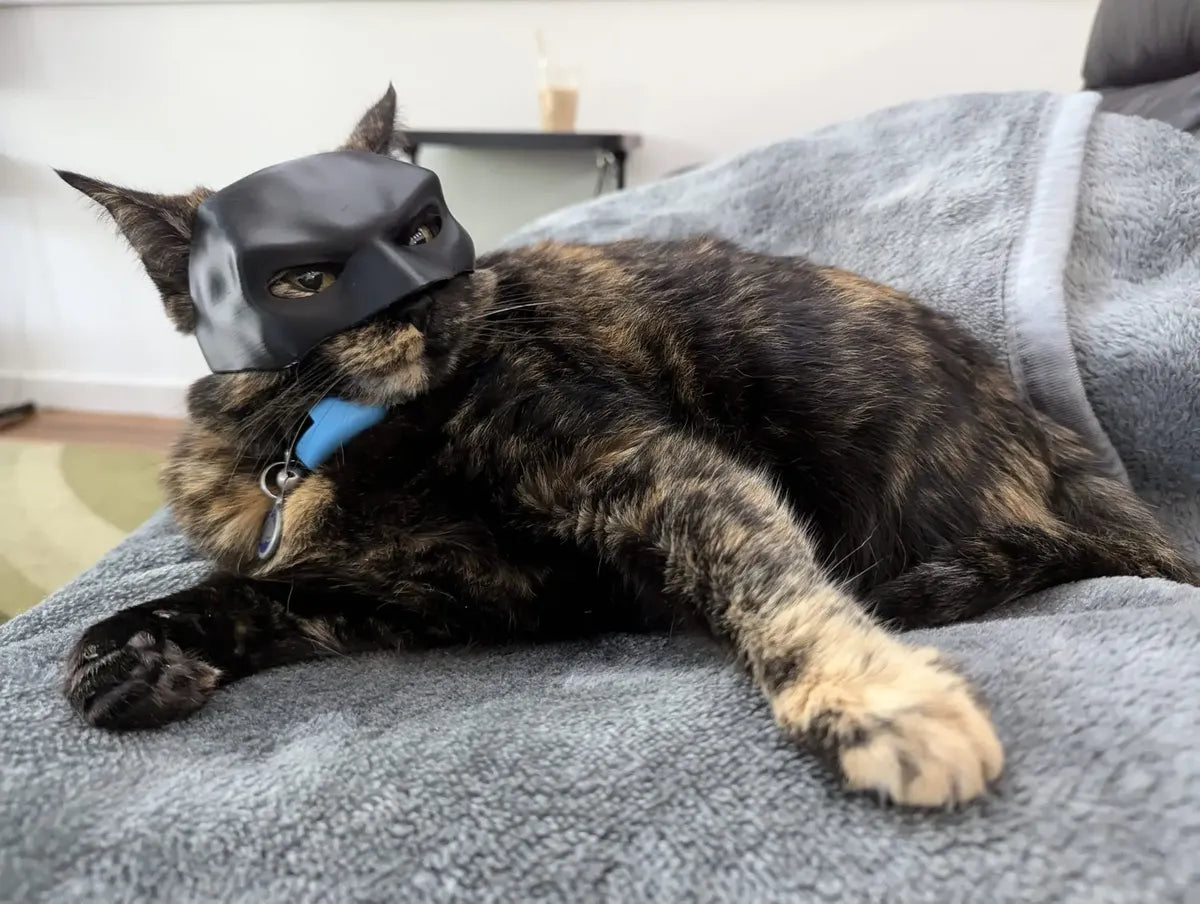 Mascara Para Gato Murciélago, Batman