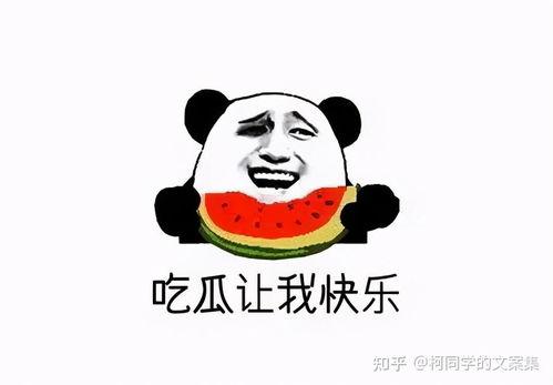 网红吃瓜搞笑文案