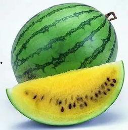 吃瓜网最全最新