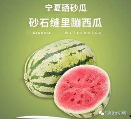 快乐吃瓜军网红康欣